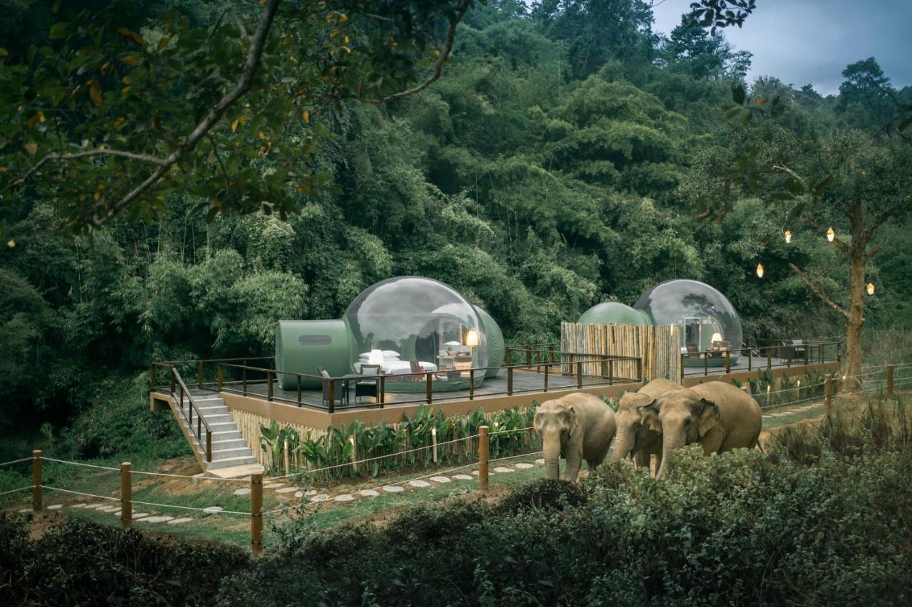 Hôtel Anantara Golden Triangle et Camp Éléphant